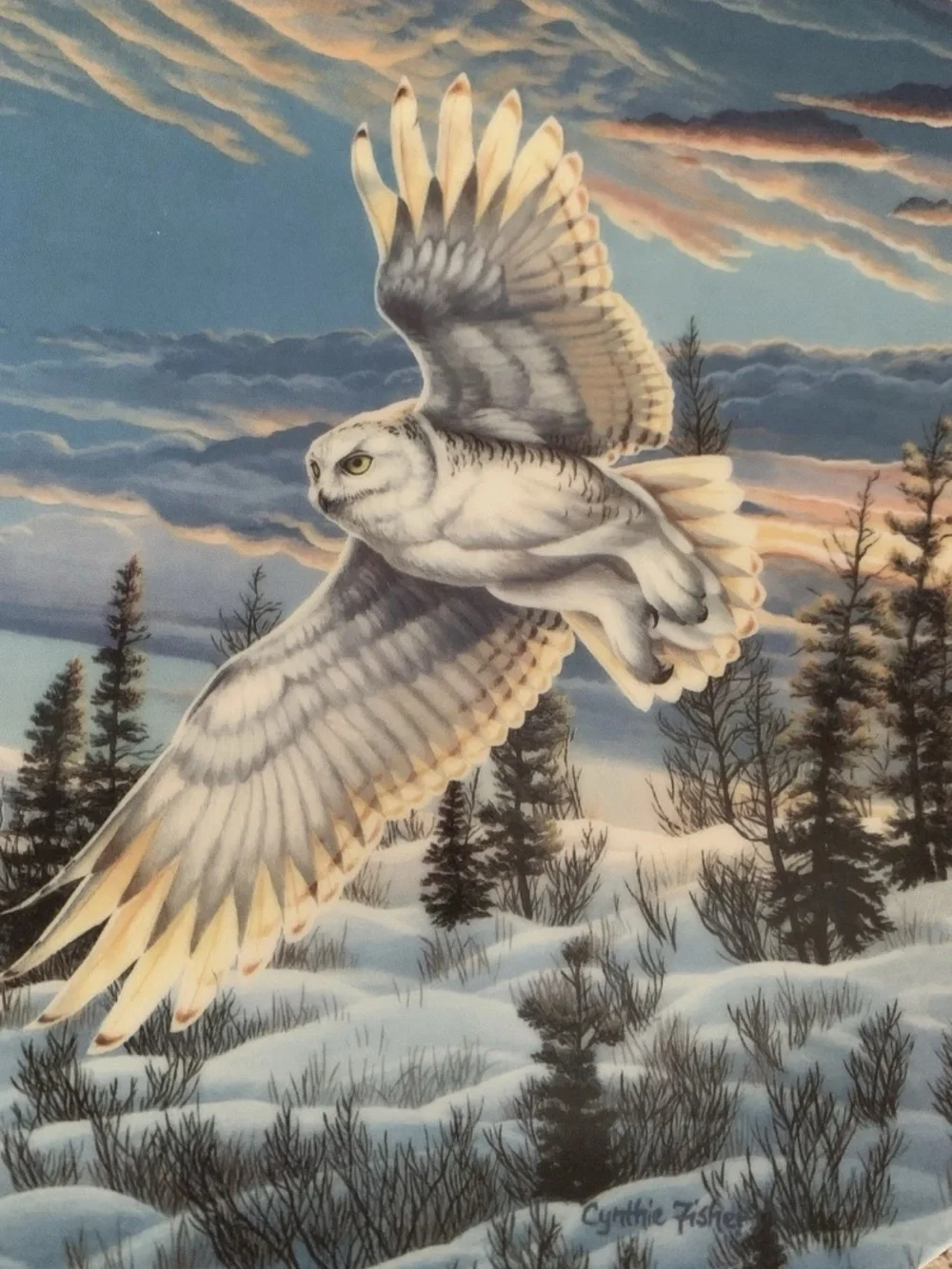 Vintage Owl Plate Lot “Peek-a-Whoo Screech Owls” “Twilight Glow”